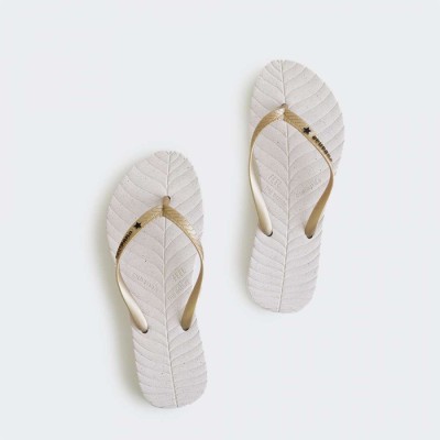 Dwukolorowe japonki logo (37/38)