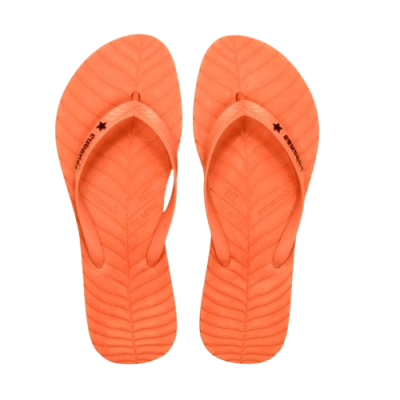 Pomarańczowe japonki logo (37/38)