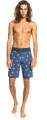 Short de bain Quiksilver Surfsilk Scallop 19 -_yyth (2).jpg