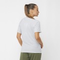 Popielaty t-shirt logo (L)