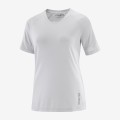 Popielaty t-shirt logo (L)