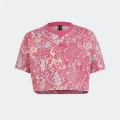 Wzorzysty krótki t-shirt HR5829 (13-14L)