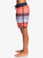 Kolorowe boardshorty logo (12L)