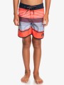 Kolorowe boardshorty logo (16L)