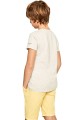 Szary melanżowy t-shirt nadruk (16L)