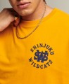 M1011333A-Superdry-OVIN-VINTAGE-COLLEGIATE-TEE-ΜΠΛΟΥΖΑ-ΑΝΔΡΙΚΟ-M1011333A-665039557.jpg
