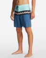 Kolorowe boardshorty logo (34)