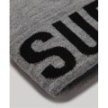 superdry-beanie-w9010167a-c24-silver- (1).jpg