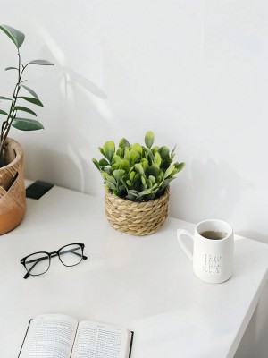 Doniczkowa sztuczna roślina