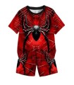 imgi_1_spider-web.jpg