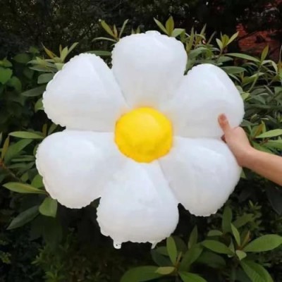 Dwukolorowy balon stokrotka